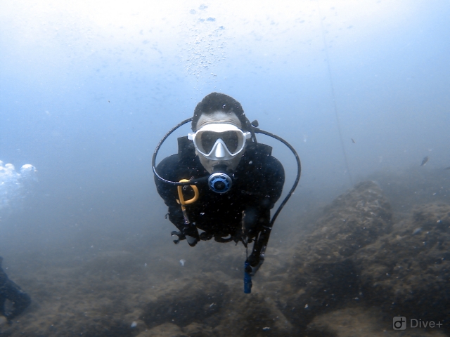  Scuba diving in the sea 