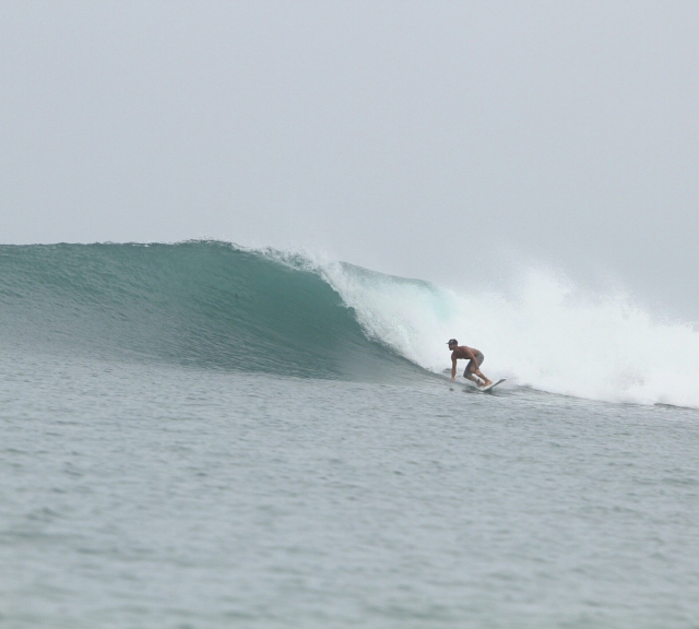  Surf pour débutants