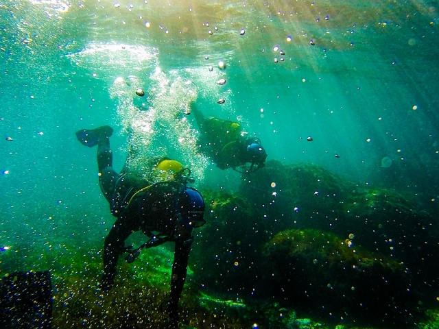  looking for the wreck 