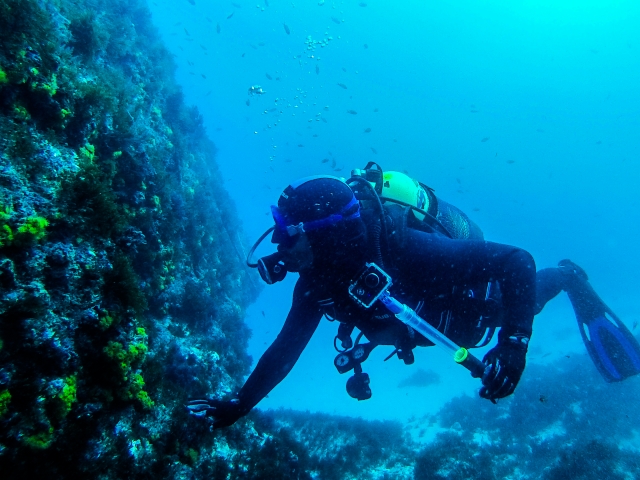  diving in deep waters 