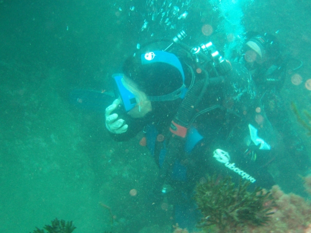 Bautismo de buceo en Gijón