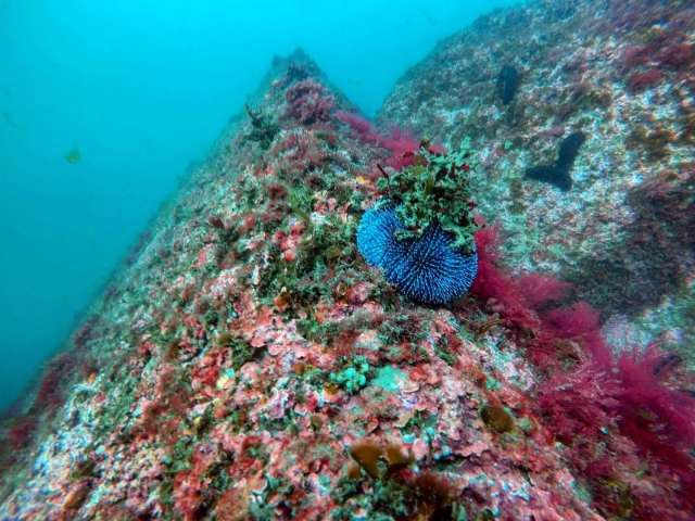 I fondali marini del Golfo di Biscaglia