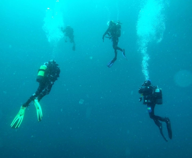 Inmersiones de buceo en Asturias