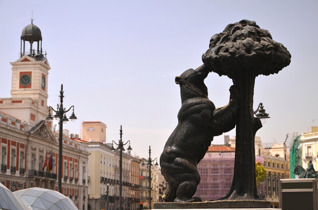  Urso e Madrono 