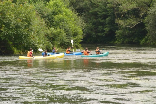  Canoe tra la vegetazione 