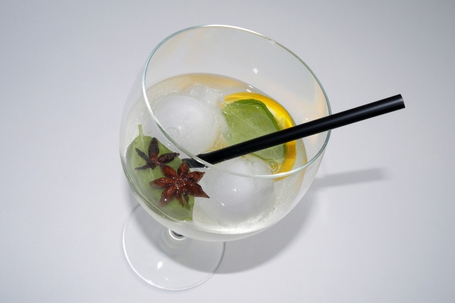 Degustacion de ginebra