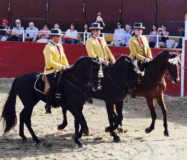  Equestrian show 