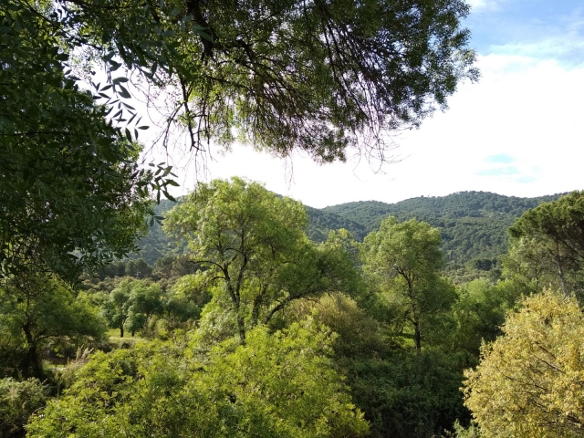 Vistas desde el monte