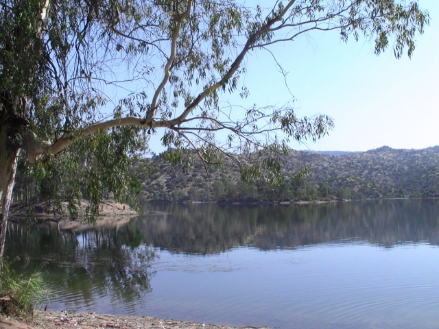 Vistas del Embalse de Encinarejo