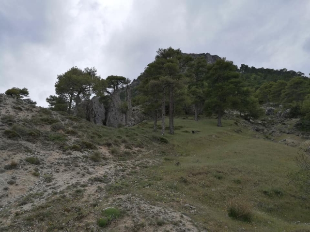  阴天山间 