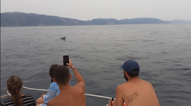  A group of friends attentive to the sea 