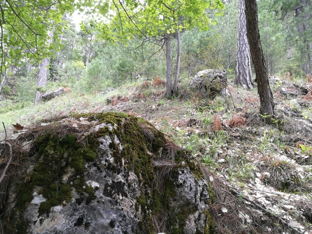 camino hacia la escalada
