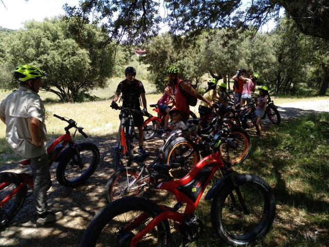 Alto en el camino