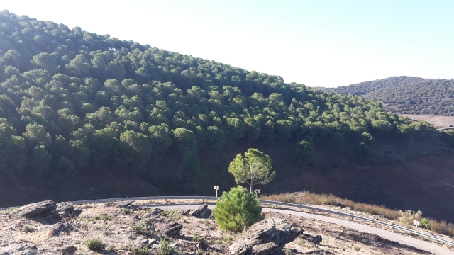  Route in der Sierra Morena 