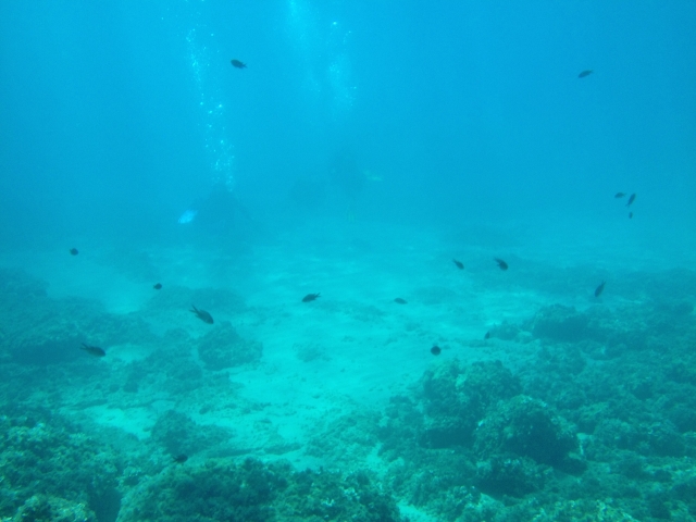 Conociendo el fondo marino