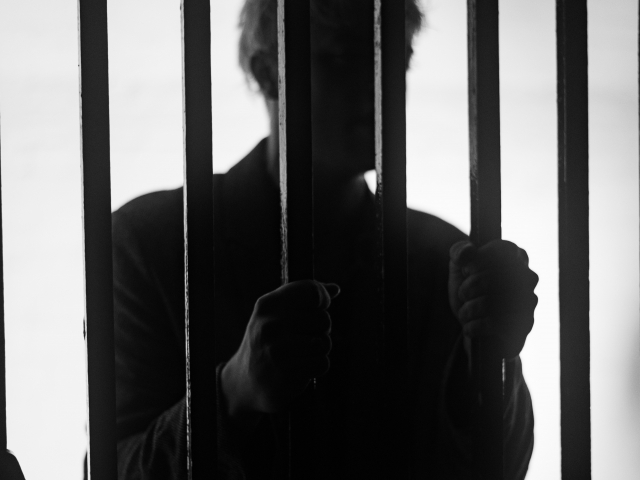 Lucha por su libertad