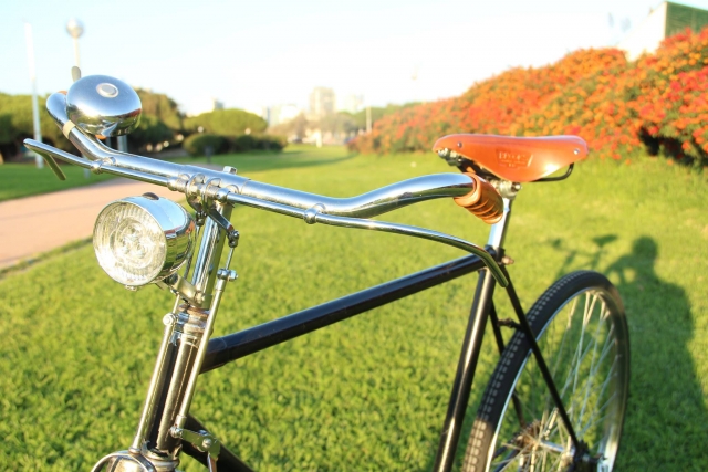  Vélo Cruiser 