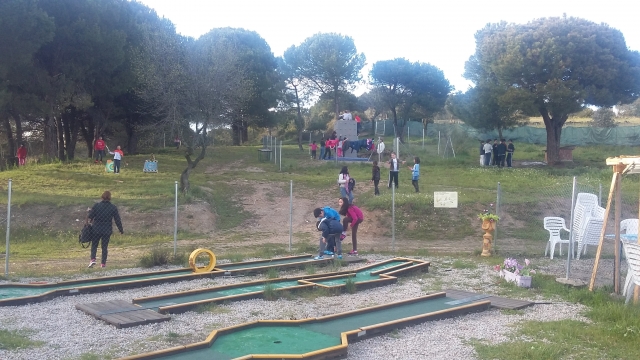 On the mini golf course 