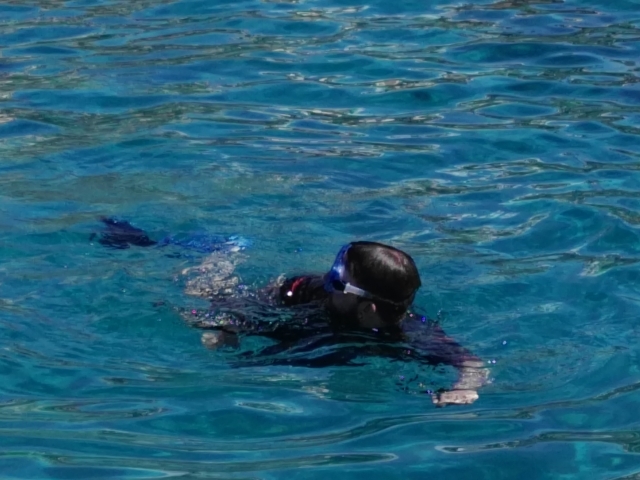  Jump off the boat and snorkel