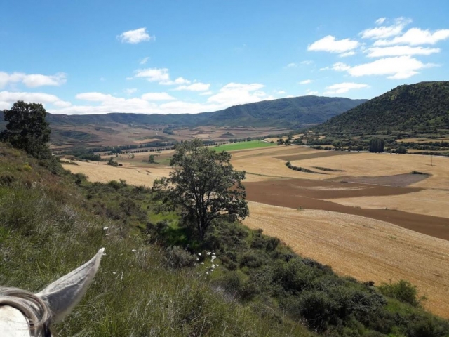  Sierra Rioja dal cavallo 