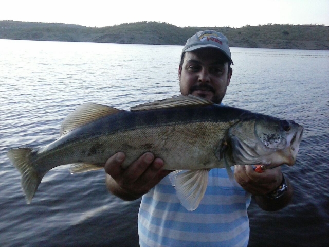 Pesca del día