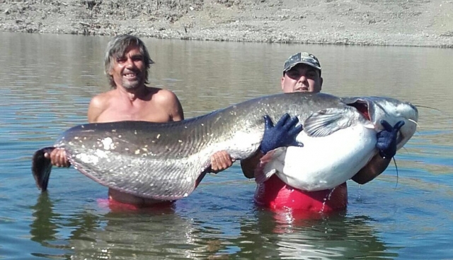 Con la gran pesca