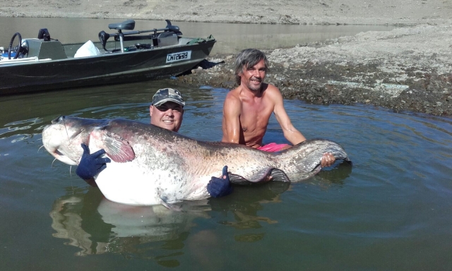 Sacando la pesca del agua