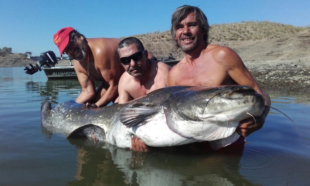 Sacándolo entre tres