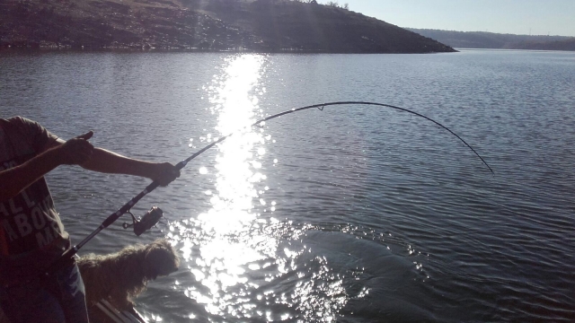 Disfrutando de un dia de pesca desde la embarcacion