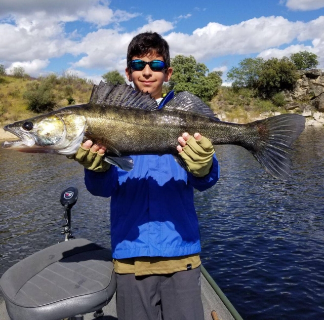 Levantando el pescado