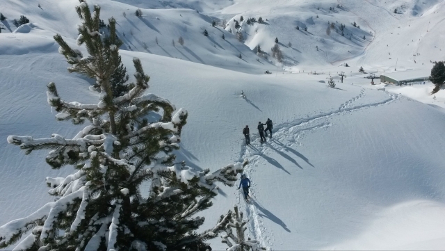 Breve ruta por la nieve con raquetas