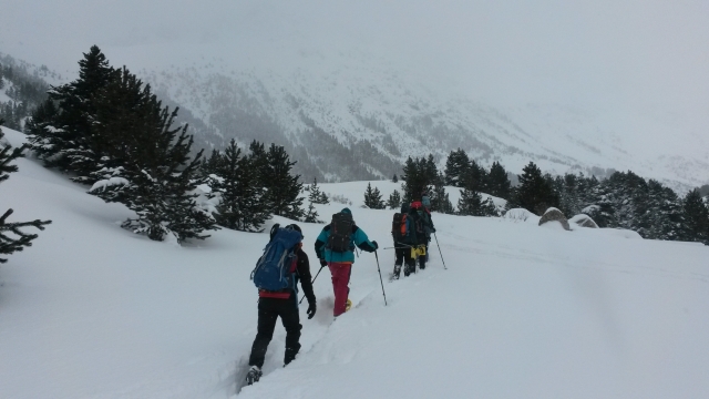 Schulweg im Schnee 