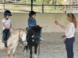 Clase de equitación en pony en El Pardo, 30min