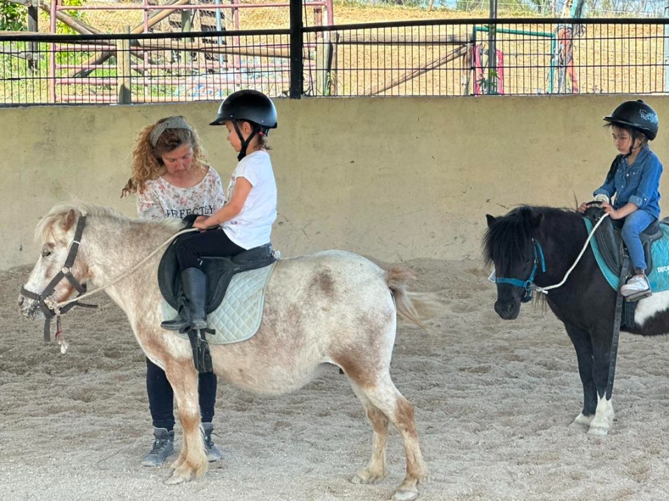 set to pony set to pony