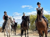 Ruta a caballo grupal por el Monte de El Pardo, 2h