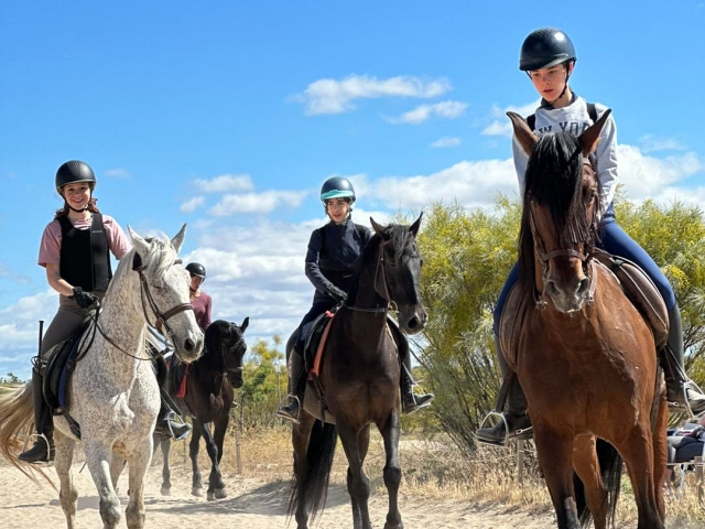 Gruppenpferderoute durch das Reittier von El Pardo, 2h