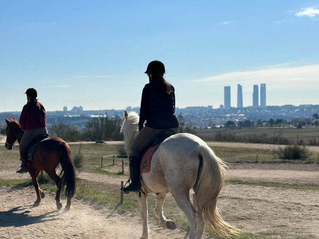 Private Pferdeweg von Monte de El Pardo, 2h