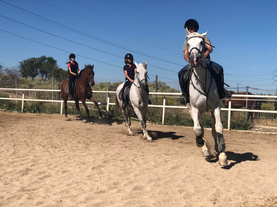 Excursiones a caballo en Madrid