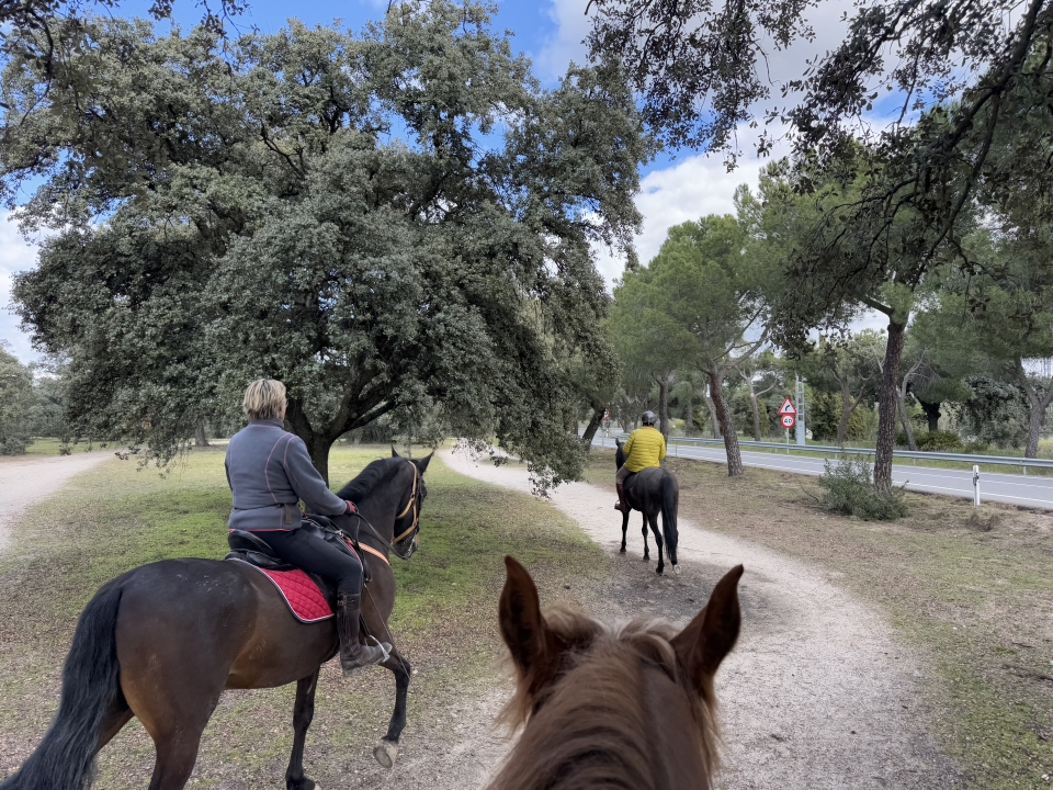 Ruta ecuestre