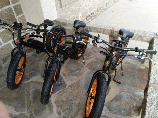Location de vélos électriques pour enfants 