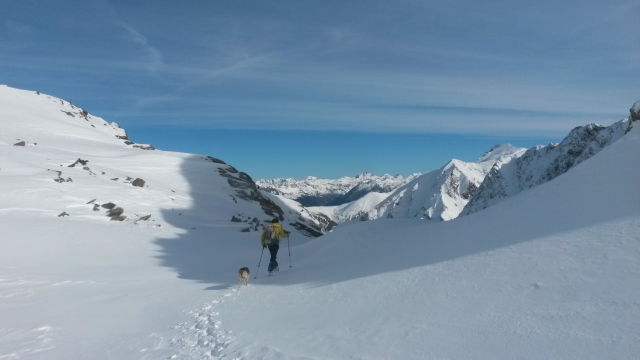 Salida a la nieve con raquetas