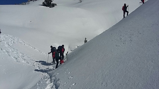  Route in the snow with snowshoes 