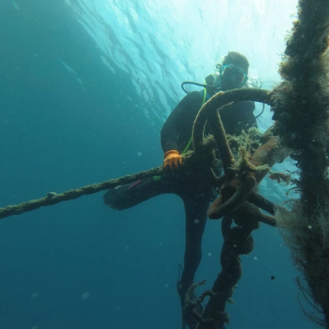 Buceando por el fondo marino