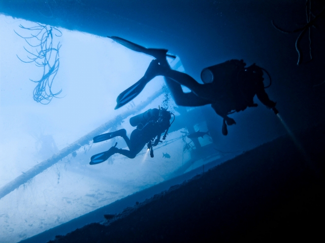 Inmersión de buceo en compañía