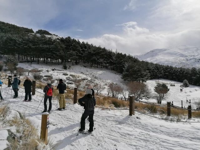  穿着雪鞋穿内华达山脉 
