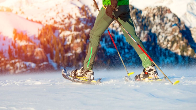 Rutas con raquetas de nieve