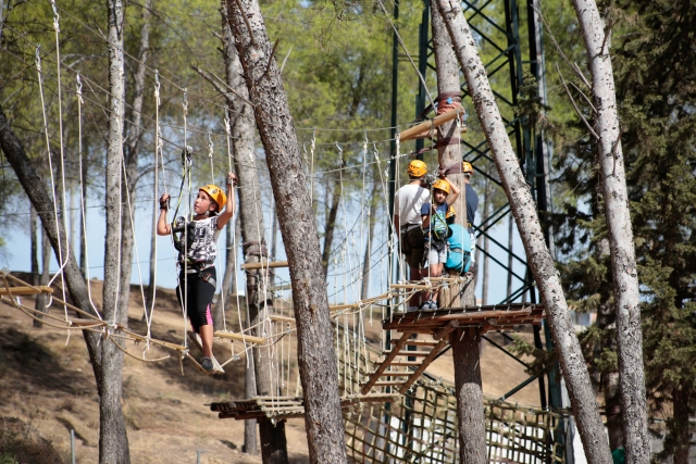  Circuito tra gli alberi 