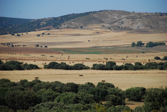  Paysage typique valencien 