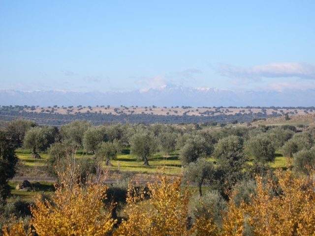 Paisajes de la sierra andaluza
