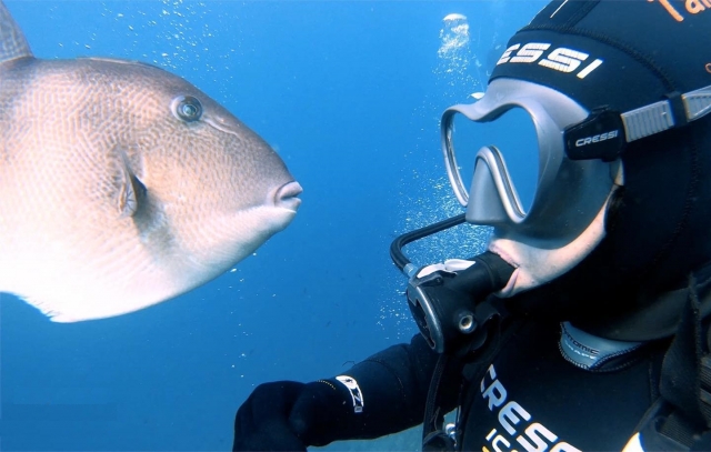 Experiencia de buceo en costa murciana